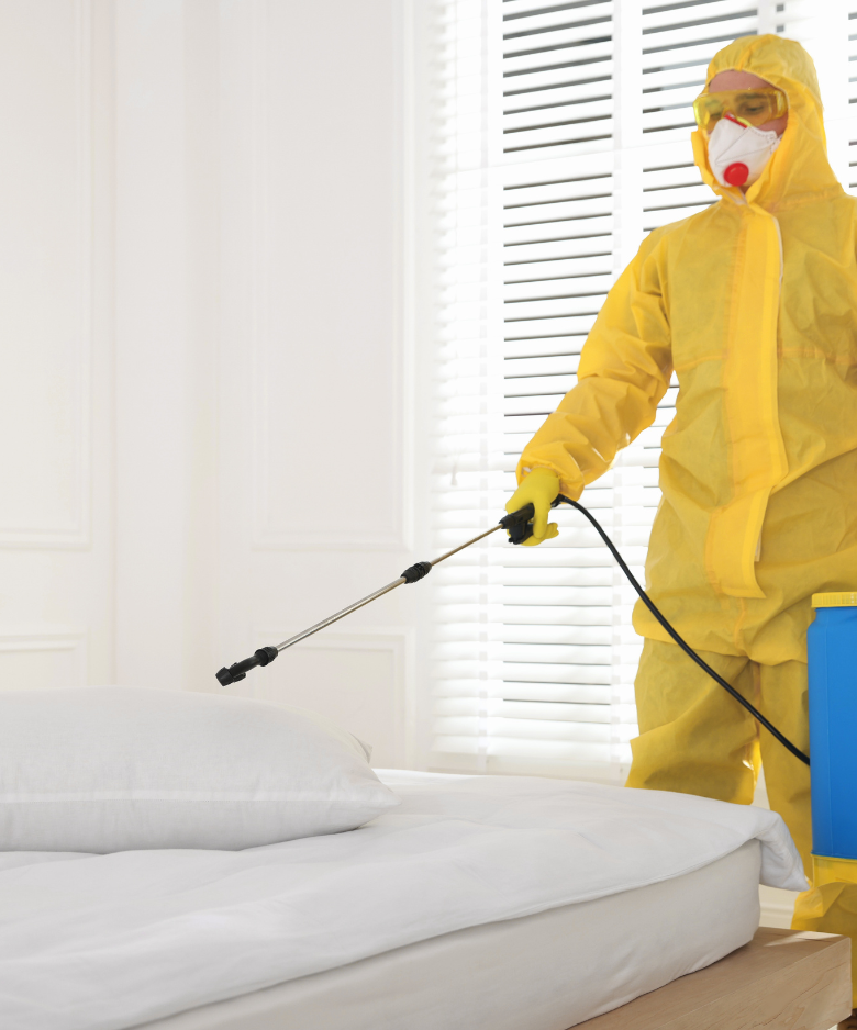 Professional Pest Control Team in Morphettville
